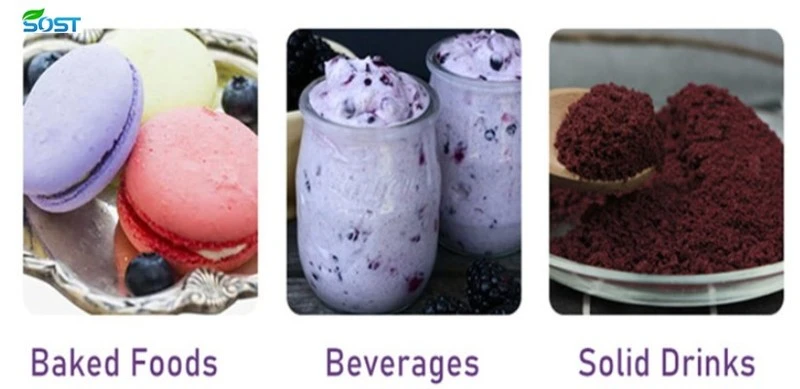 Freeze Dried Blueberry Powder3 Freeze Dried Blueberry Powder3