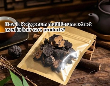 Ki jan yo itilize ekstrè Polygonum multiflorum nan pwodwi swen pou cheve?