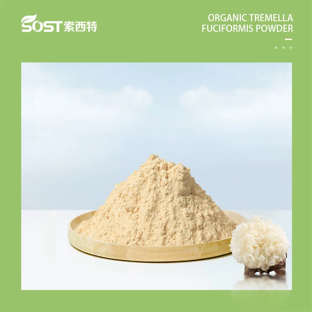 Tremella Mushroom Powder Tremella Mushroom Powder