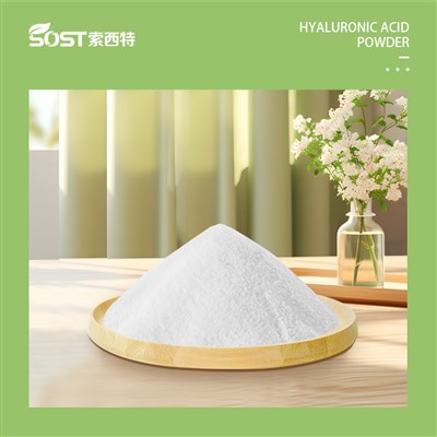 Powder asid hyaluronik