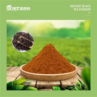 Instant Black Tea Extrait Powder