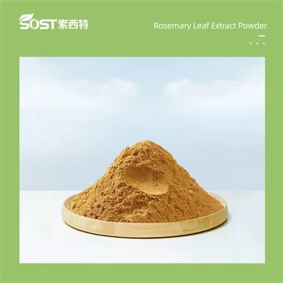 Rosemary Leaf Extrait Powder
