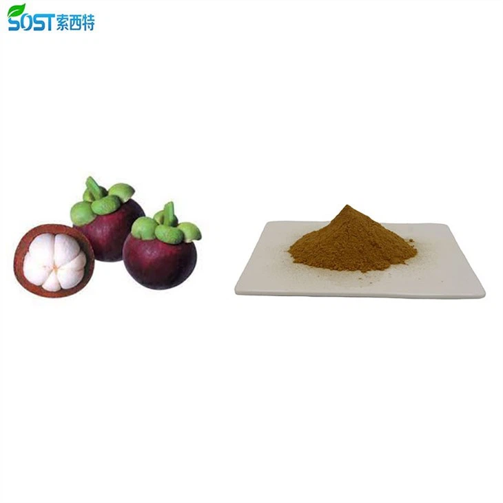 Mangosteen Extract