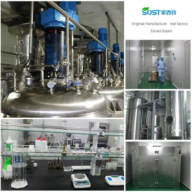 Passion Fruit Extract Powder