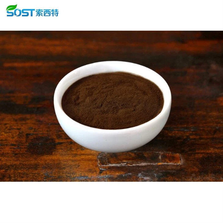 Organic Red Reishi Mushroom Powder